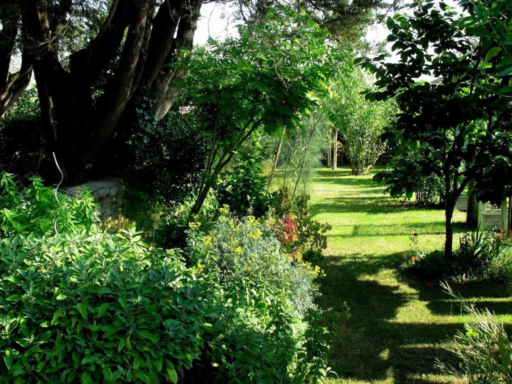 La Claverie Sainte-Radégonde-des-Noyers Buitenkant foto