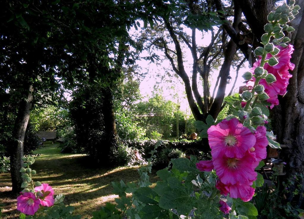 La Claverie Sainte-Radégonde-des-Noyers Buitenkant foto